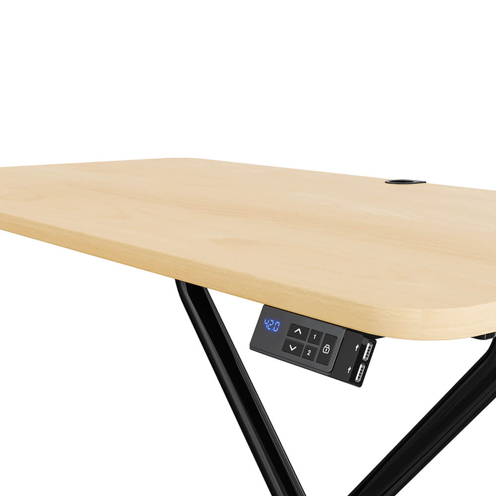 Lillipad Electric Floor to Stand Desk — Fully Assembled