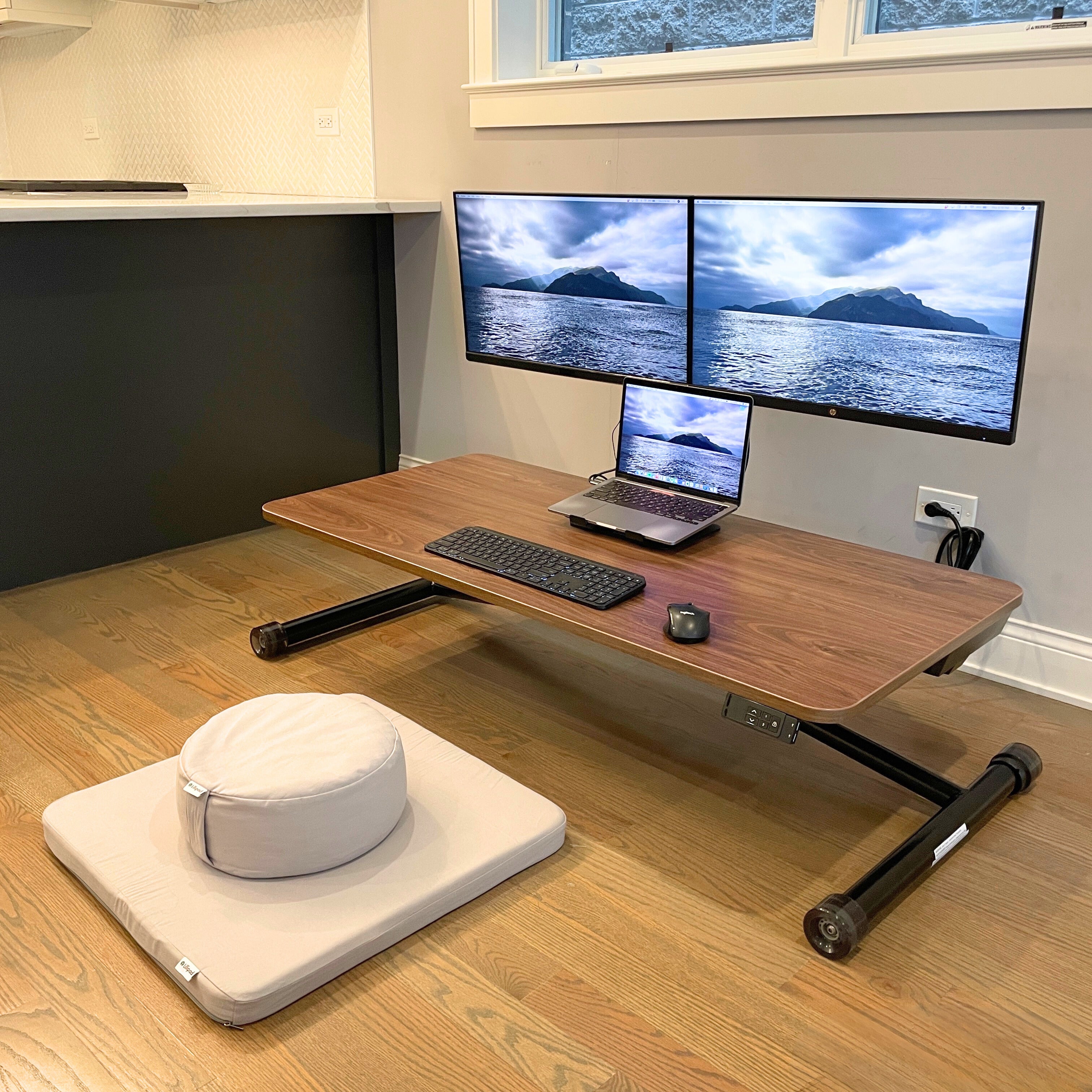 Lillipad Electric Floor to Stand Desk — Fully Assembled